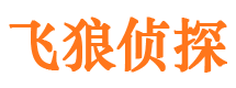 大安市侦探调查公司